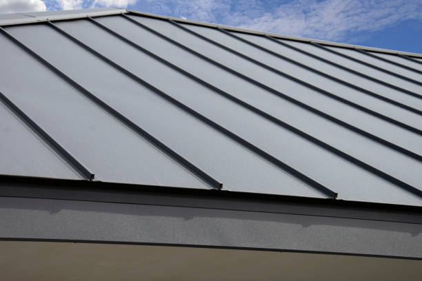 Best Steel Roofing  in Geneva, FL